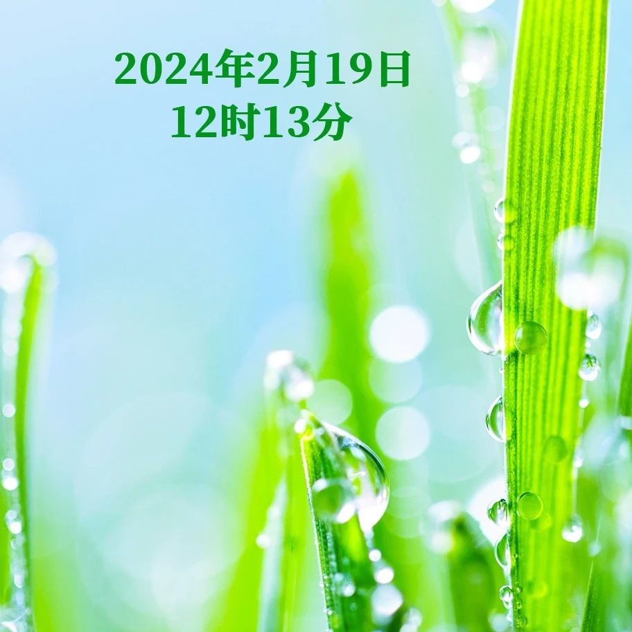 今日，雨水