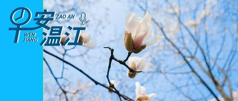 早安温江丨1600多个岗位！明天温江有场招聘会