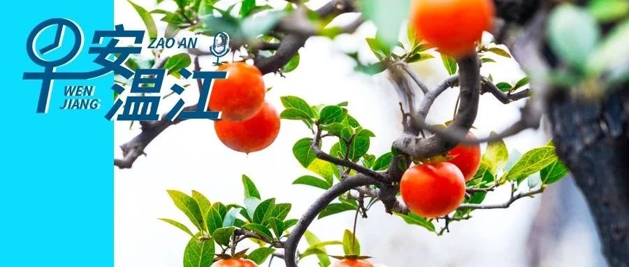 早安温江丨1721套！温江一保障性租赁住房年底呈现