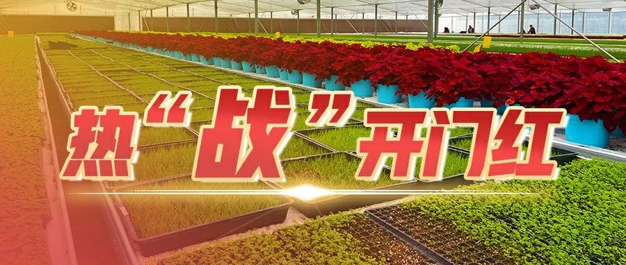 目标4000万株！这家花卉企业借世园会东风跑出发展加速度