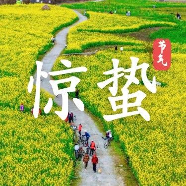 今日惊蛰