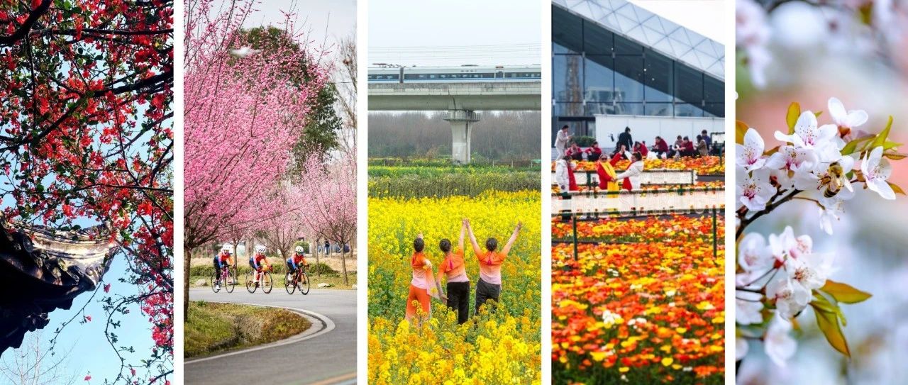 趁花开，上春山！今天的专属福利转给她→
