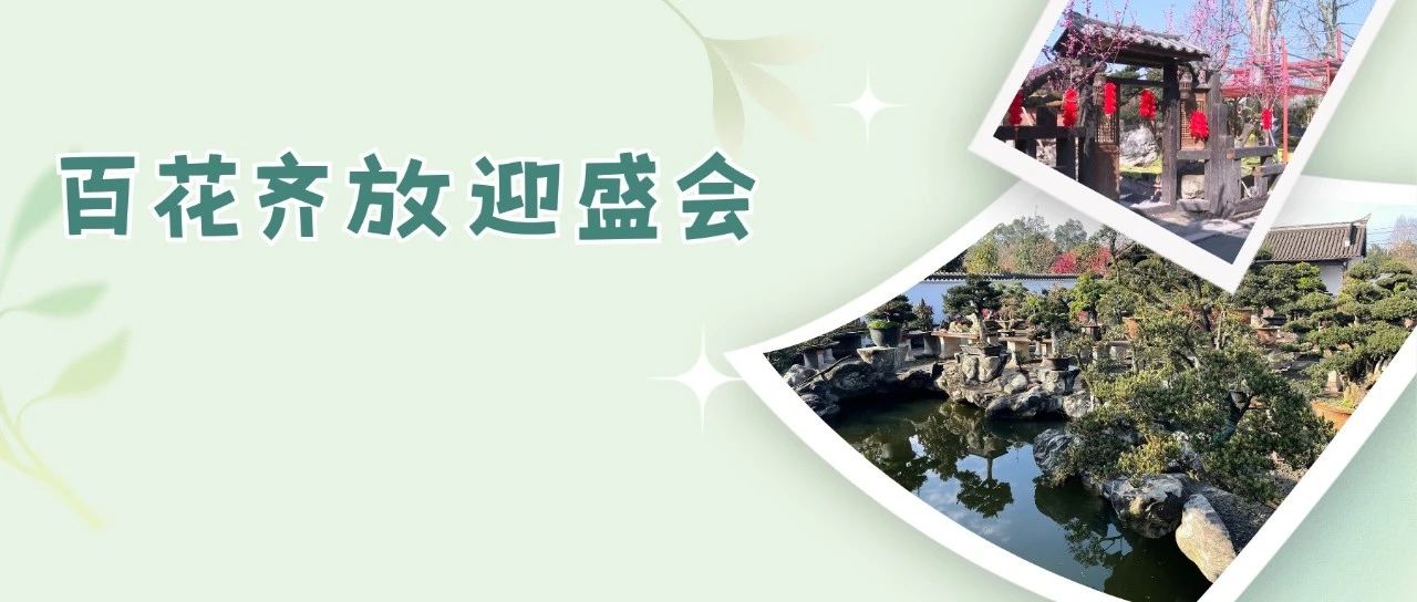 成都世园会温江分会场“进度条”持续刷新中■■■■□
