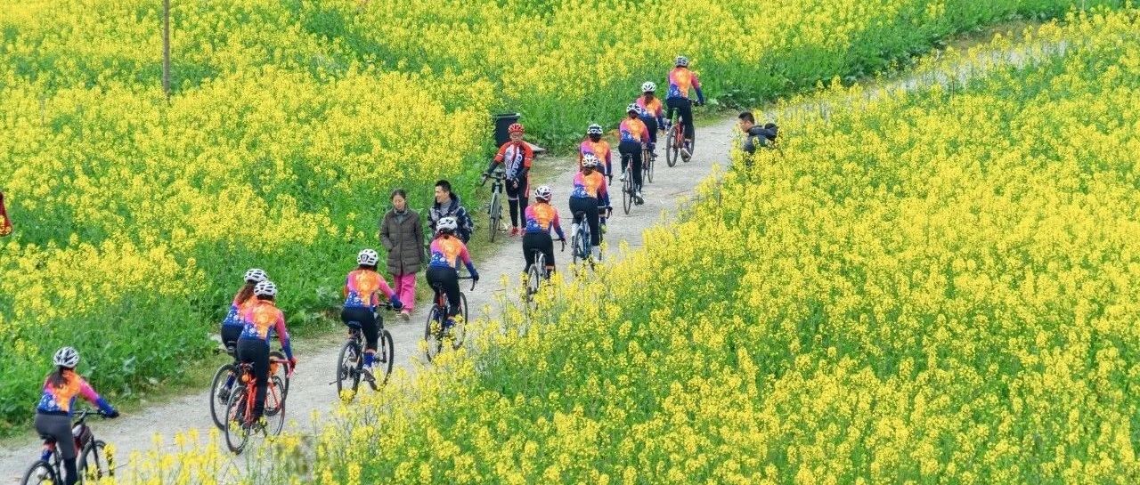 春日里的Cityride！这几条温江骑行线路等你来体验→