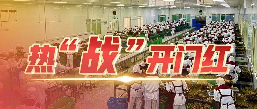 日产手工粽50万只！温江这家企业生产建设“两手抓”