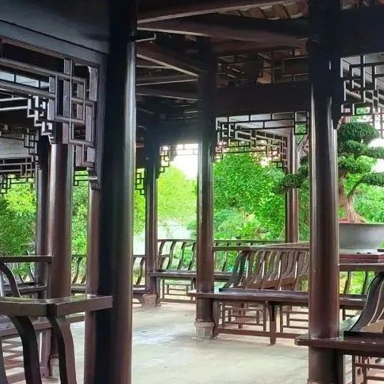 “前店后厂”，温江创新花卉园艺消费新场景→