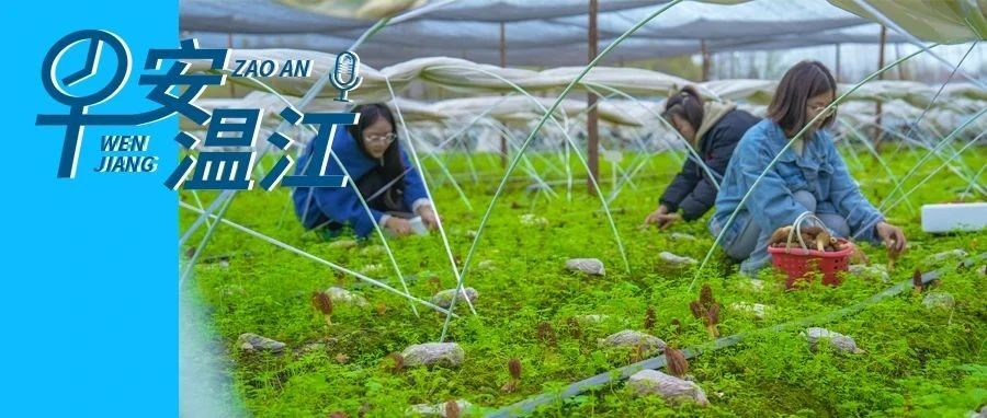 早安温江 | 城中村改造项目机会清单发布，温江7个→
