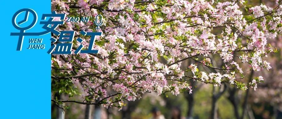 早安温江丨温江区最新备案托育机构名单来了→