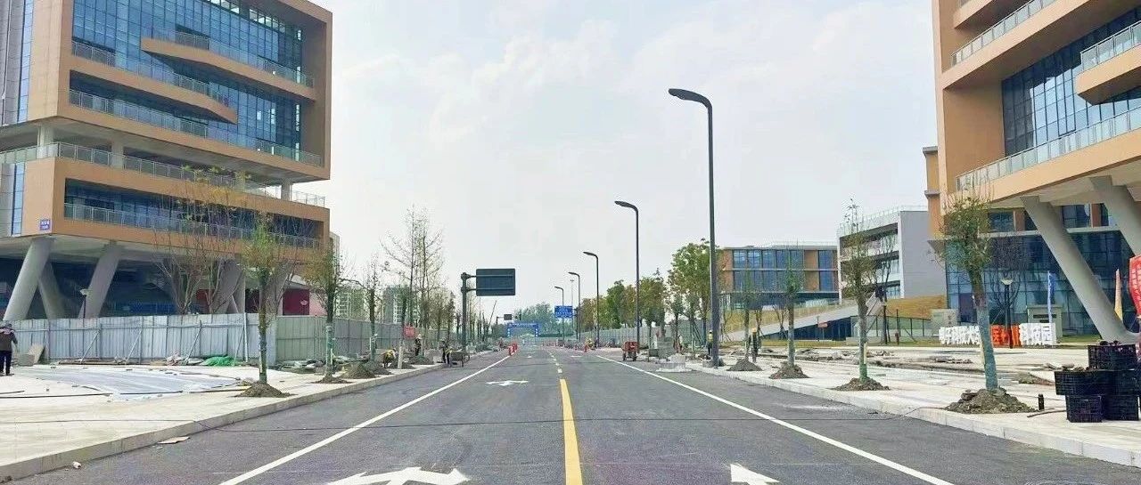 这条道路达通车条件！清水河高新技术产业走廊温江片区做优基础配套~
