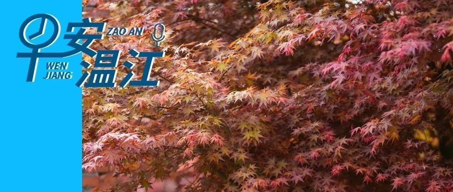 早安温江 | 2024年成都幼儿园入园政策详解来了→