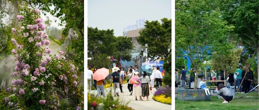 假期最后一天！温江这个地方你还没去？