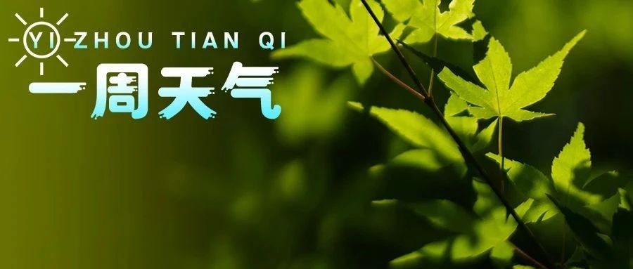 【一周天气】最高直冲36℃！高温将持续至……