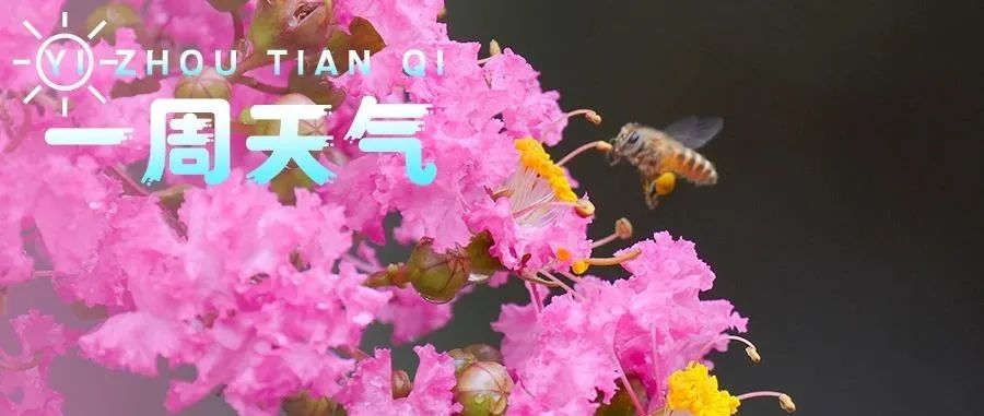 【一周天气】近十年最短三伏将至，本周温度如何？