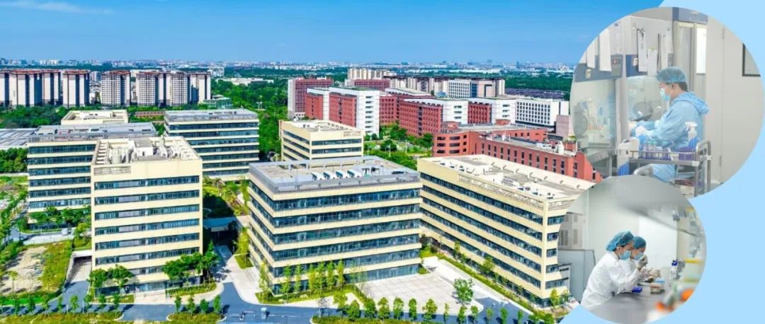 “无感兑现”近2500万元！温江“免申即享”让政策红包自动到账→