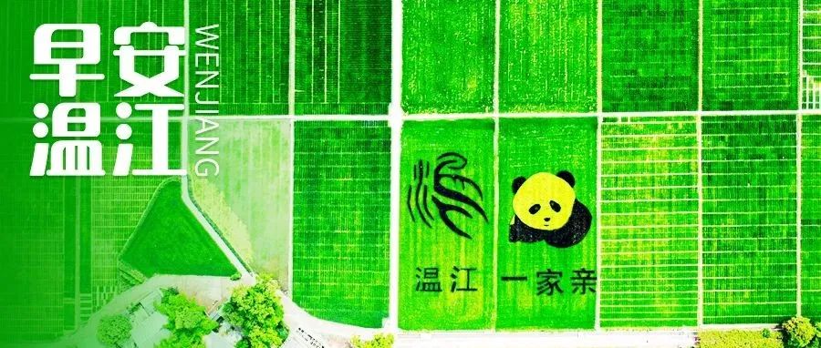 早安温江丨成都⇋桂林、成都⇋西安，夜间动车上新！