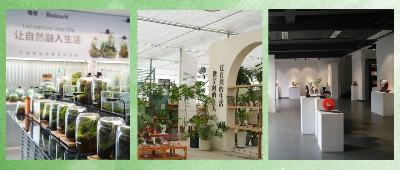 来温江！捧一盆“会呼吸的夏天”回家吧~（文末有福利）
