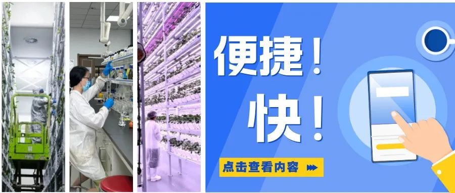 “温江效率”有多快？企业：当天确认，当天到账！