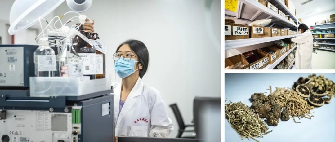如何炼成100+新药？温江这家CRO企业藏着中药创新的密码→