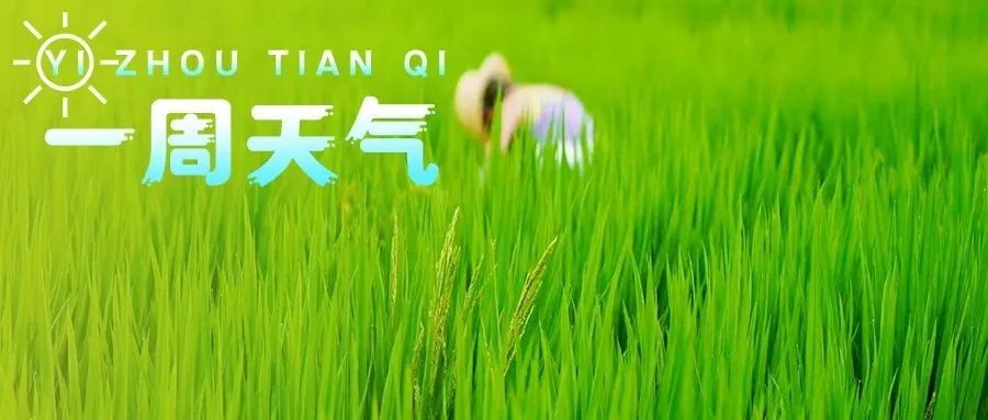 【一周天气】最高37℃！未来几天，高温持续→