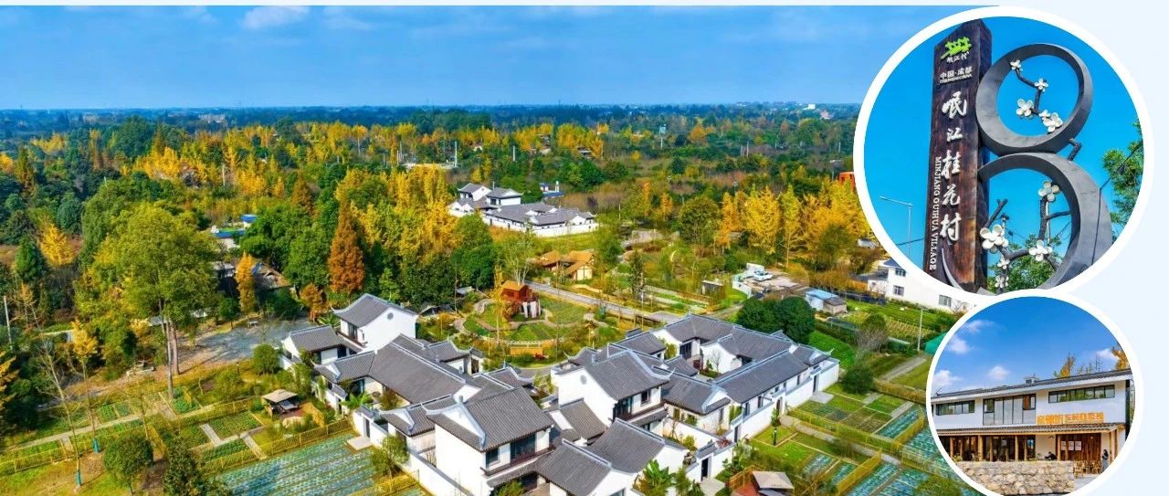 全市唯一！温江这一案例获评全省典型