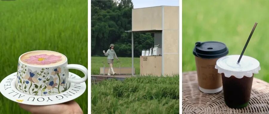 现在就出发！温江乡村喝的咖啡这么“香”→