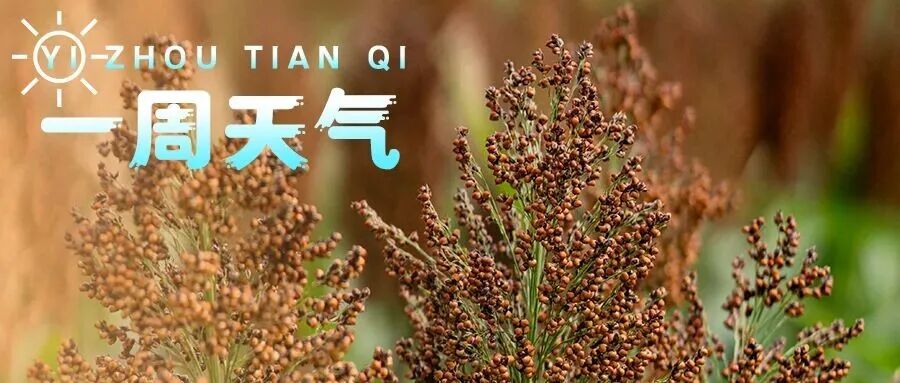 【一周天气】多分散阵雨或雷雨，出门记得带伞