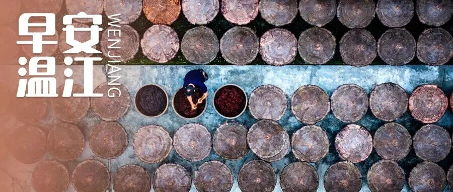 早安温江丨成都50分钟到重庆、5.5小时到青海！预计通车时间→