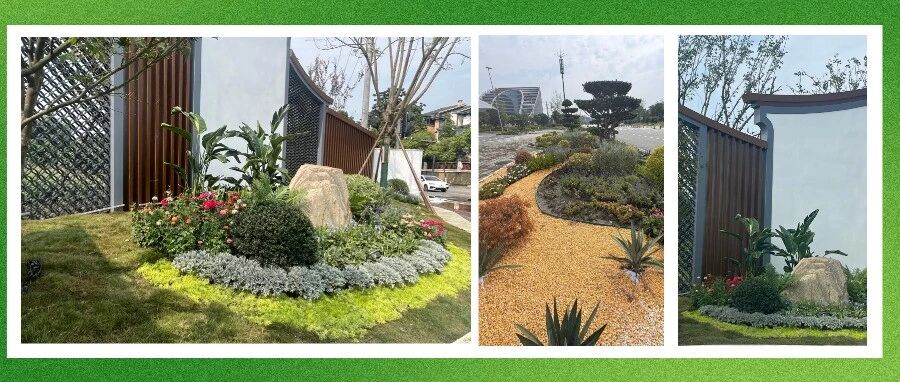 一定要去走走，温江这波街景焕新了！