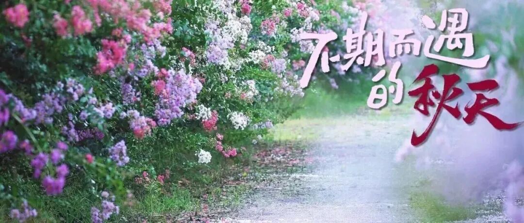 速速打卡！温江初秋还藏着惊喜~