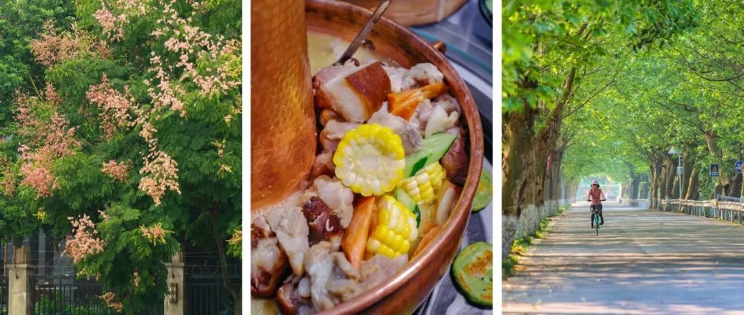 @温江人，秋日大礼包已送达！请签收~（文末有福利）