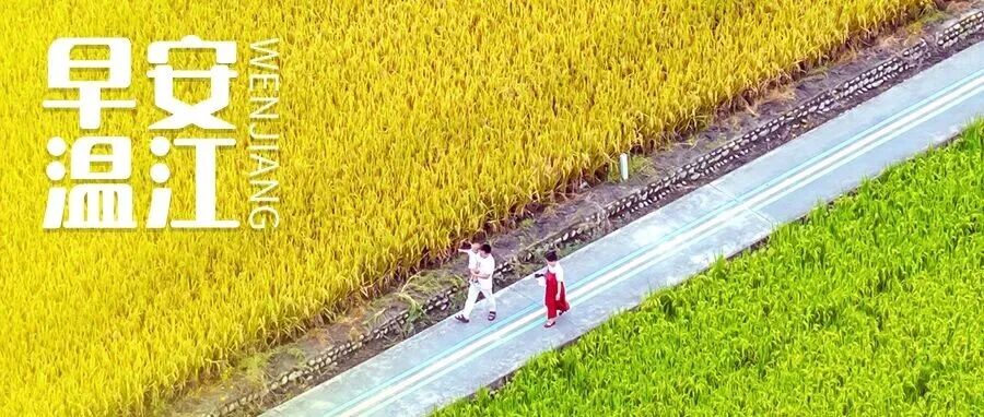 早安温江 | “码”上可知！我国推广数字标签助力食品安全监管