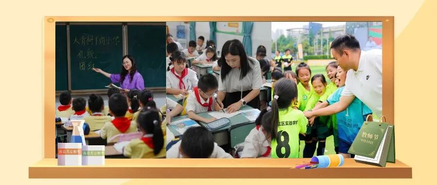 教书育人，他们这样作答→