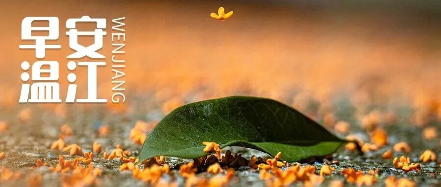 早安温江丨四川省事业单位公招，时间定了！