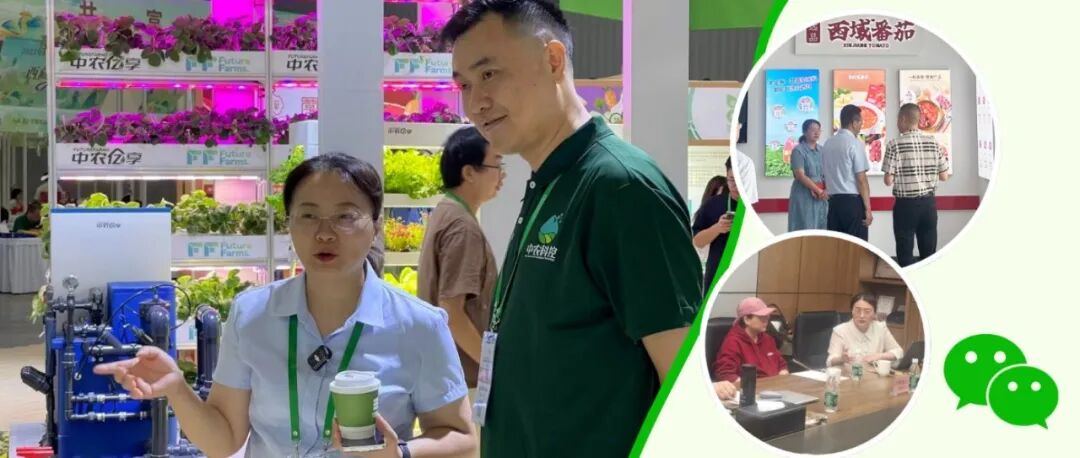 看！她的朋友圈很忙、很暖，也“超有料”