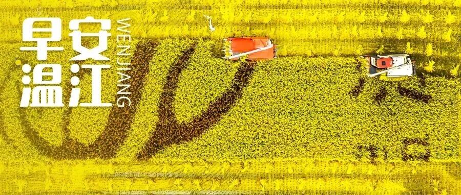 早安温江 | 成都2025年秋季“村糖会”打卡地图来了→