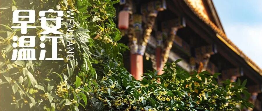 早安温江 | 4亿元消费券来了！明日正式启动→