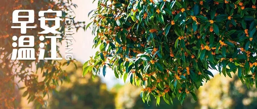 早安温江丨重磅文件发布，事关1670多万学生群体→