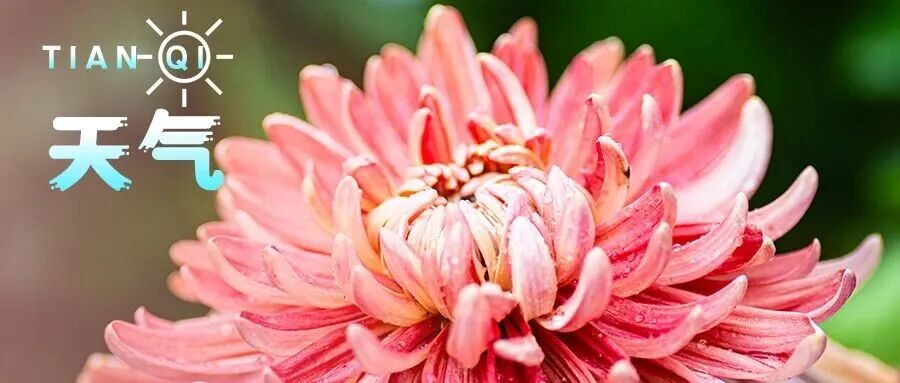 假期天气舒适，适宜出游赏秋