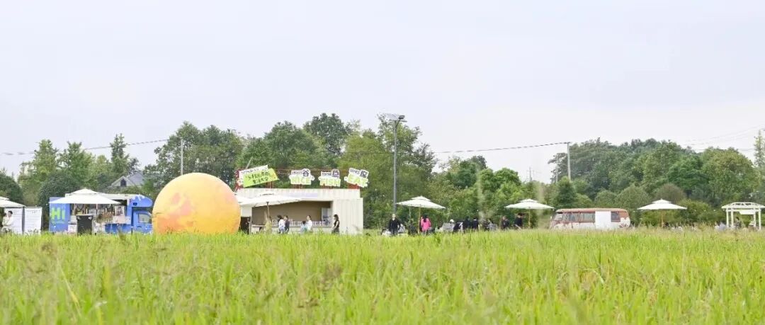 微度假到温江！沉浸式当“新村民”，乐享乡村田园诗意~