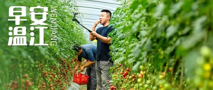 早安温江丨车船税减免新政发布！明年起实施