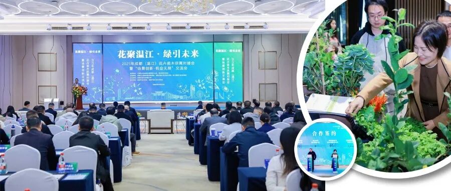 推新品、谈合作、签订单！温江这场供需对接会收获满满~