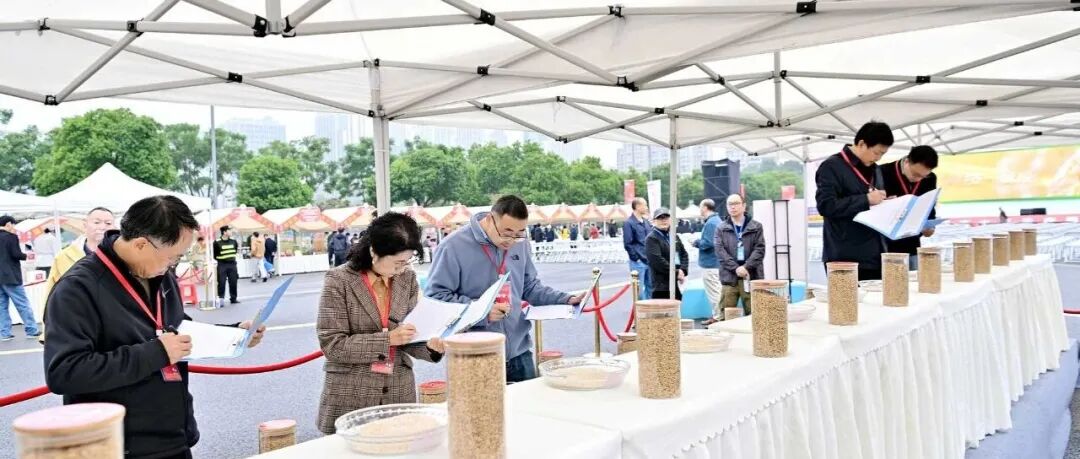 ​品优质稻米、逛农优集市！成都市第十二届“鱼凫杯”优质稻米品鉴活动在温江举行