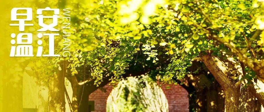 早安温江丨11月新规来了！