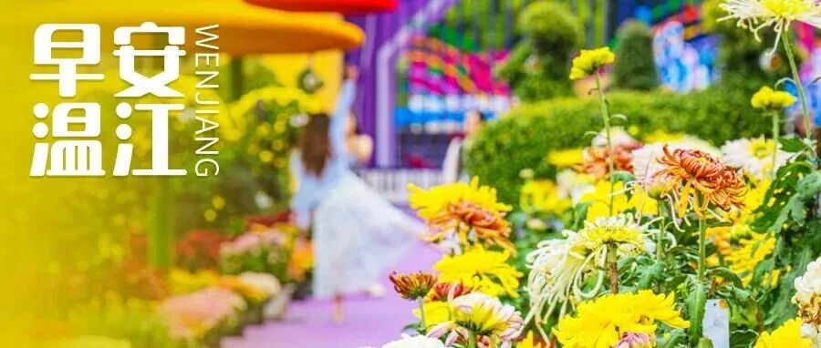 早安温江丨考驾照有新变化！