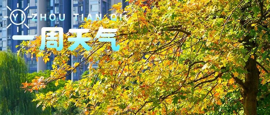 【一周天气】早晚多分散小雨，记得带伞！