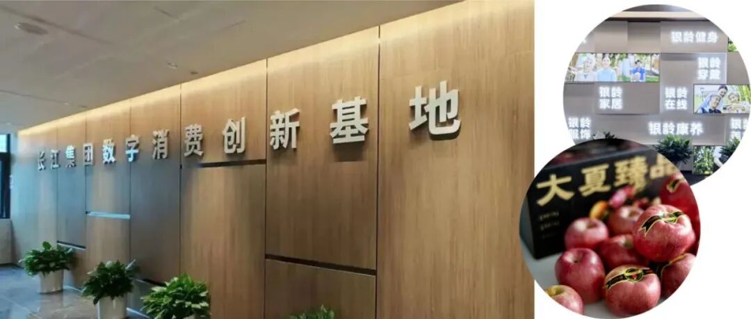 五大平台、全产业链！温江这个创新基地构建数字消费新生态