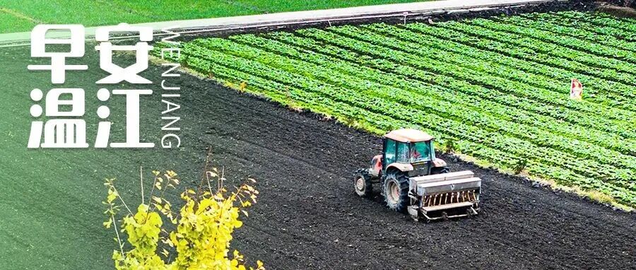 早安温江 | 事关中小学教育！教育部等7部门印发意见