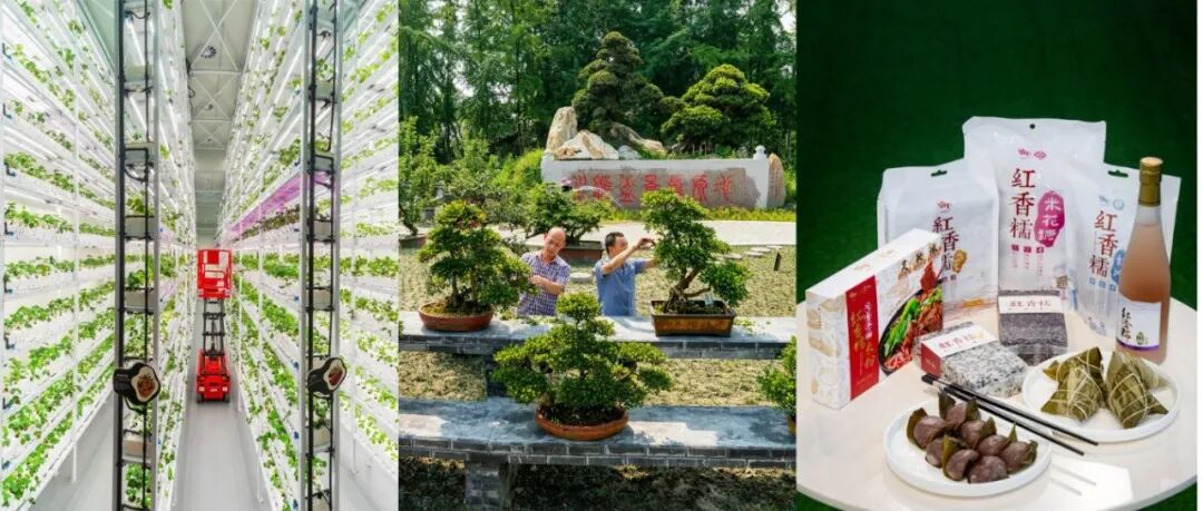 ​四川省数字乡村建设优秀案例，温江+3！