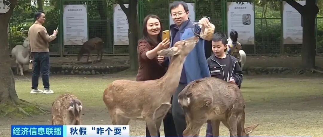 秋假耍温江，登上​央视大屏！