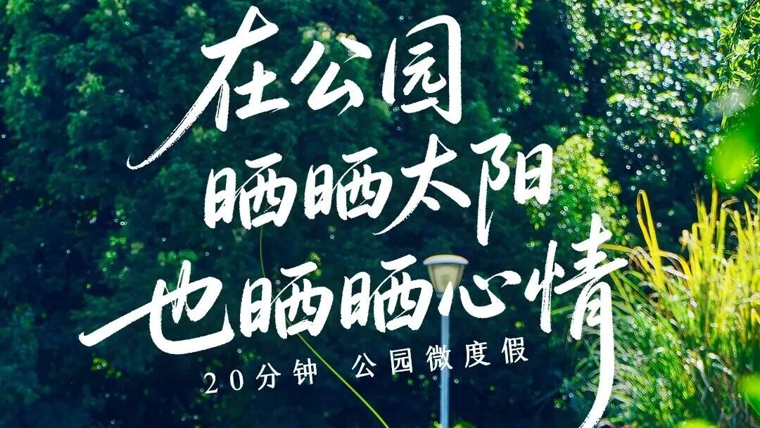 🤓出！太！阳！一起逛初冬最美的公园~